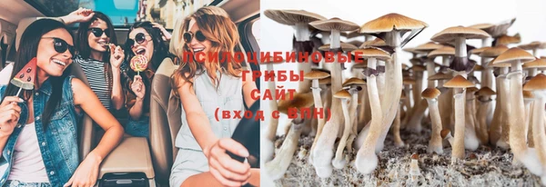 дмт Балахна
